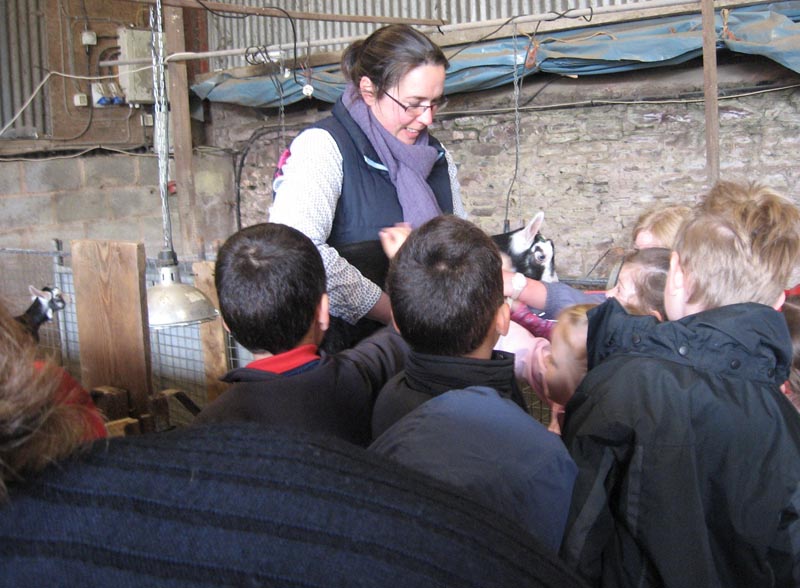 2013 School Visit To Goat Farm IMG 2467